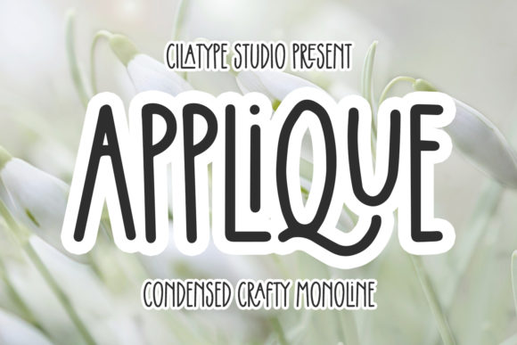 Applique Font for Web Design and Digital Branding