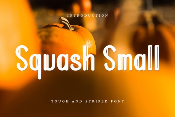 Squash Small: A Trendy Display Font for Creative Makers